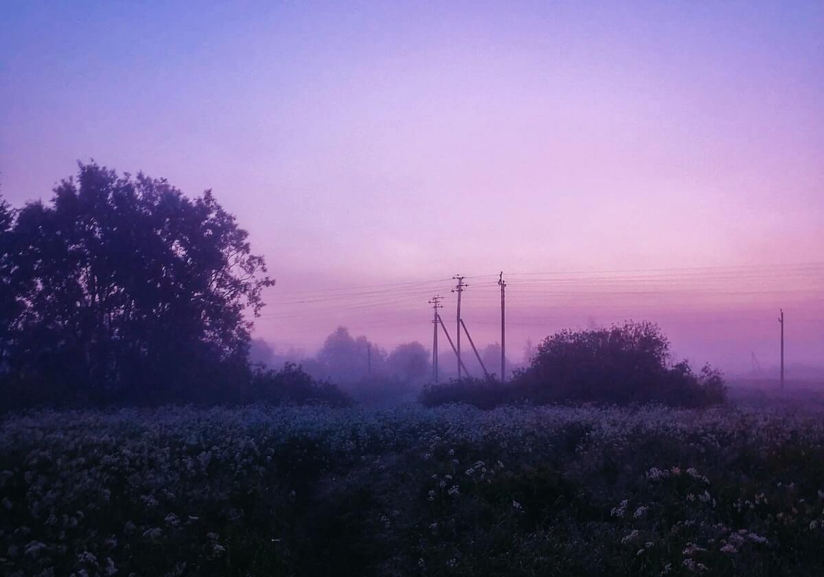 遗憾！德甲8战3负后樊振东突然离队，全运会双冠目标引爆期待